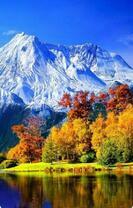 Без бренда «Осенний лес и вид на горы» в Грозном