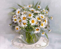 Без бренда «2KMA-0021» в Грозном