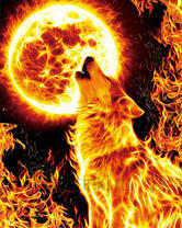 Без бренда «Огненный волк воет на луну» в Грозном