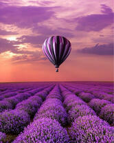 Без бренда «2KMB-4091» в Грозном