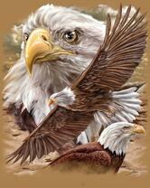 Без бренда «2KMB-4315» в Грозном