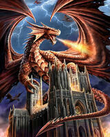 Без бренда «Дракон огня и молний» в Грозном