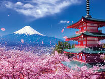 Без бренда «2KSB-7277» в Грозном