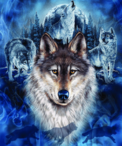 Без бренда «2KXSB-0687» в Грозном