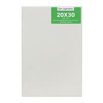 Без бренда «Коробка 80 шт.: Холст Две картинки на подрамнике 20X30» в Грозном