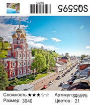 SQ5595
