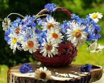 Корзина с васильками и ромашками