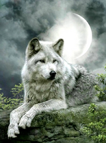 Без бренда «Коробка 25 шт. картин по номерам BOX25-GX21058» в Грозном