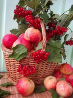 Без бренда «Коробка 25 шт. картин по номерам BOX25-GX5174» в Грозном в интернет-магазине  Без бренда «Коробка 25 шт. картин по номерам BOX25-GX5174» в Грозном