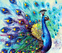 Павлин с огромным хвостом