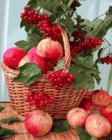 Без бренда «Плетёная корзина с калиной и яблоками» в Грозном