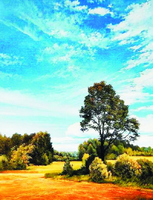 Без бренда «Осенний пейзаж с голубым небом» в Грозном в интернет-магазине  Без бренда «Осенний пейзаж с голубым небом» в Грозном