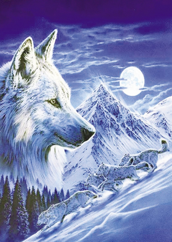 Алмазная мозаика 30x40 Стая белых волков в заснеженных горах