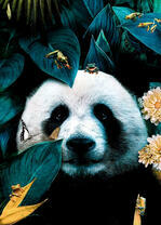 Панда в окружении листов и лягушек