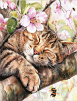 Без бренда «Волосатый котик спит на ветви яблони» в Грозном