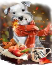 Пес в шарфе и яблоки с чаем