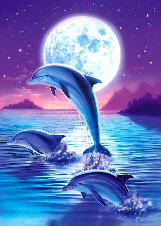 Картина по номерам 40x50 Три дельфина в море под полной луной