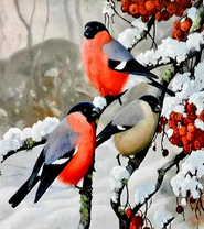 Снегири на заснеженной ветке рябины